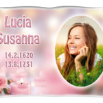 Libro A Parete Torino