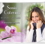 Libro A Parete Arezzo