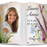 Libro Alaska A Terreno