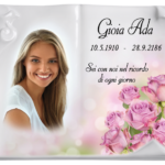 Libro Ohio A Terreno