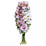 Composizione Mista FU413