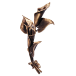 Calla Bronzo 7766