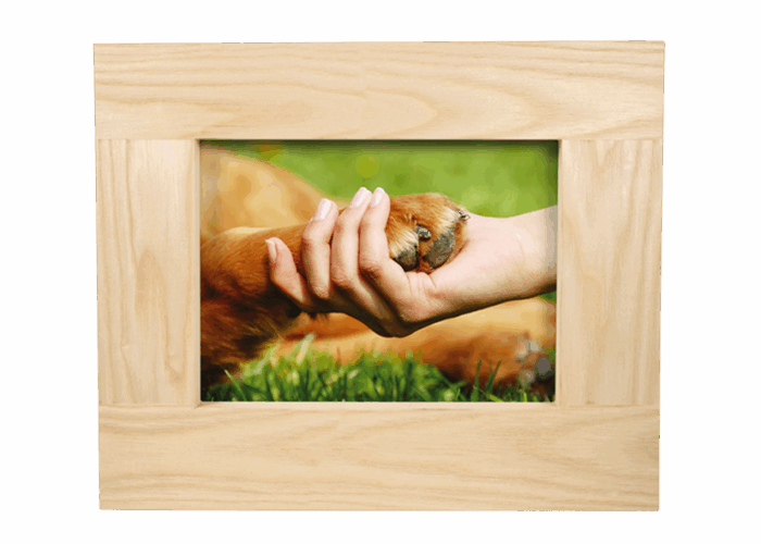 Urna Pet Quadro - immagine 2