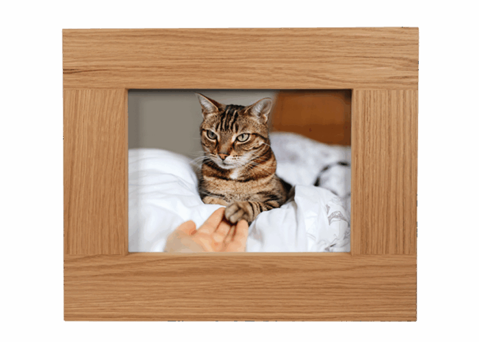 Urna Pet Quadro - immagine 3