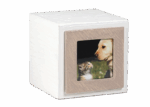 Urna Pet Legno linea Preziosa - immagine 2