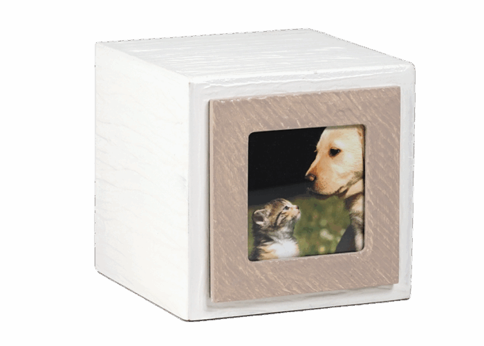 Urna Pet Legno linea Preziosa - immagine 2
