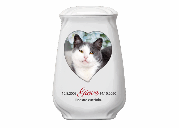 Urna Pet in Porcellana 6516 - immagine 2