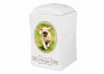 Urna Pet in Porcellana 6517 - immagine 3