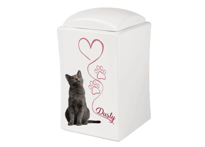 Urna Pet in Porcellana 6517 - immagine 2