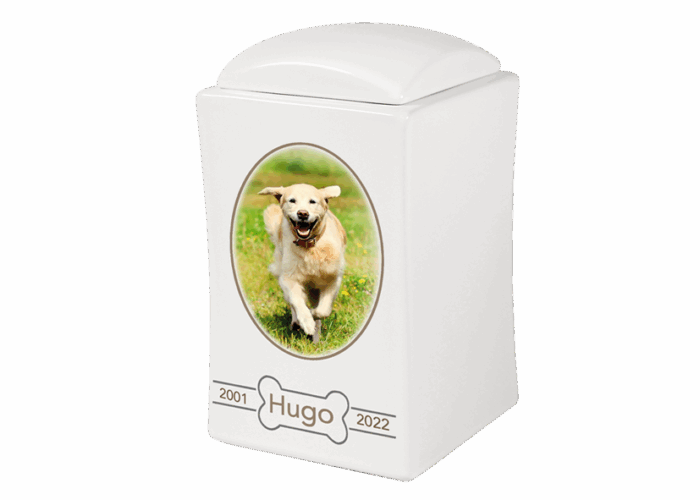 Urna Pet in Porcellana 6517 - immagine 3