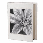 Urna in Legno Libro Preziosa